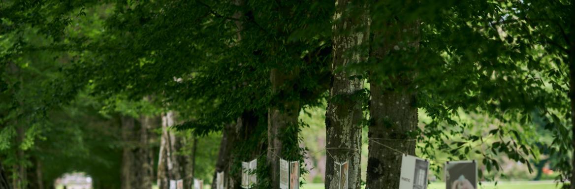 Razstava na prostem, ki prikazuje rokodelske panoge v registru. Foto: Jana Jocif, 2023 (FB Konzorcij rokodelskih centrov)