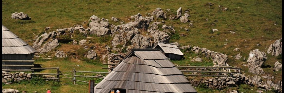 Foto: Anja Jerin, 2013