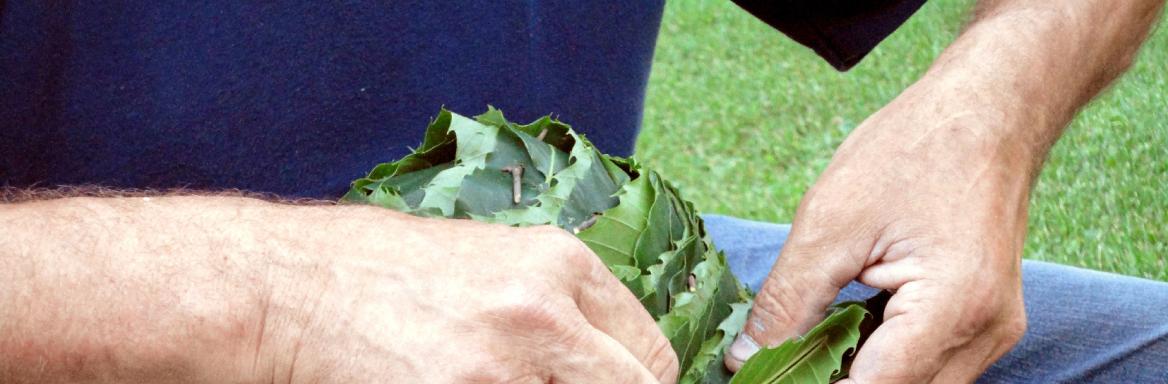 Foto: Anita Matkovič, 2011. 