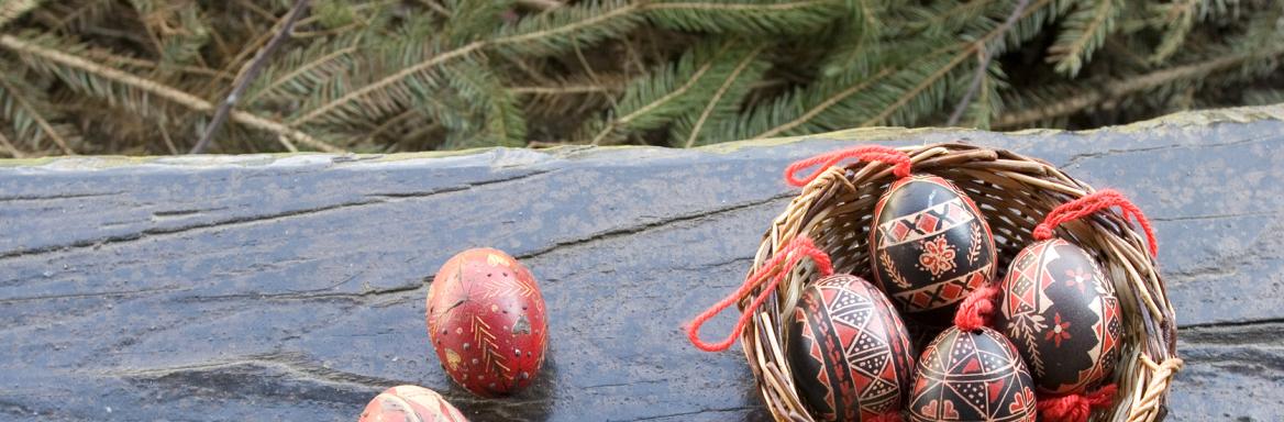  Foto: Siniša Borovičanin, 2010.