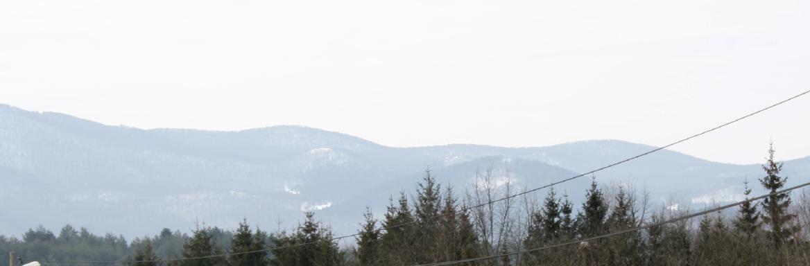 Foto: Miha Špiček, 2010. 