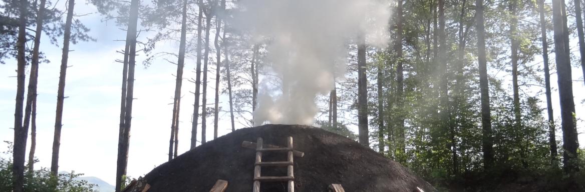 Foto: G. Kleč, 2012 