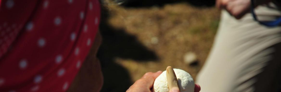 Foto: Anja Jerin, 2013.