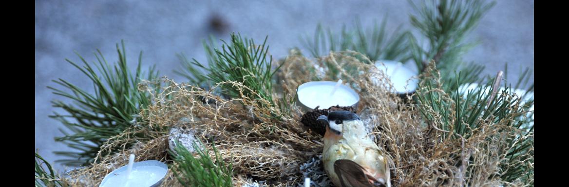 Gregorček. Foto: A. Jerin, 2017. 