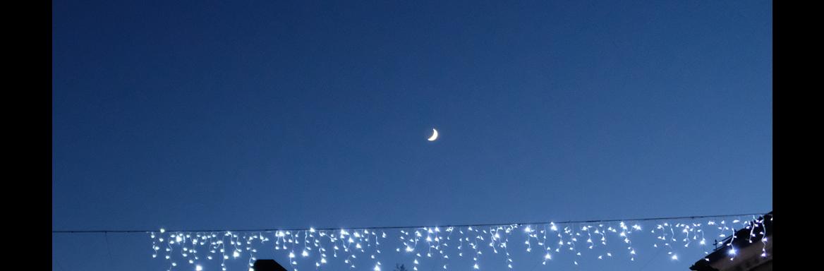 Srečno 2019! Foto: A. Jerin, 2018 