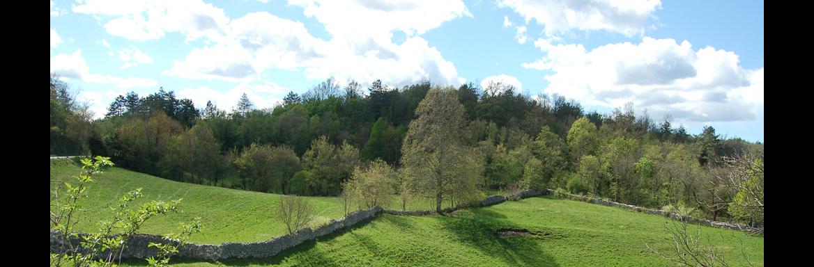 Suhozidna gradnja. Foto: Eda Belingar, 2014. 