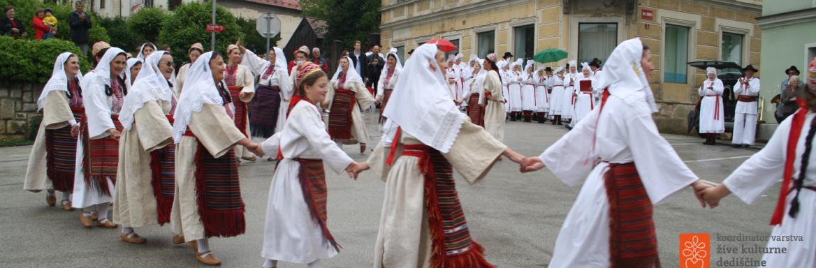 Vuzemski plesi in igre v Metliki. Foto: Tjaša Zidarič, 2014. 