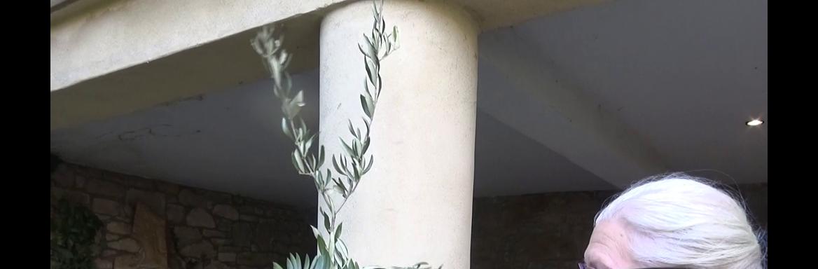 Nadja Bažec. Foto: V. Kovač, 2015