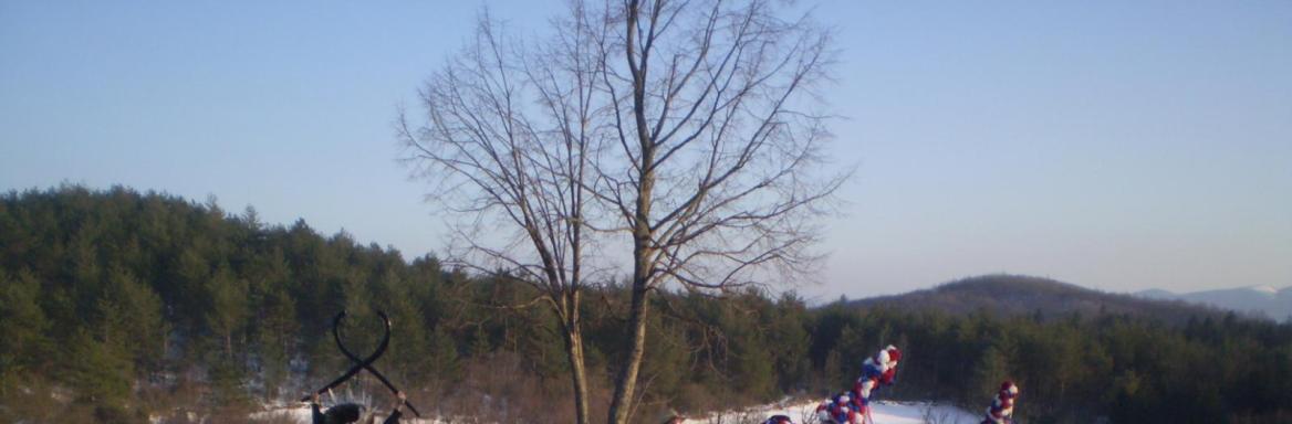 Ritanski škoromati. Foto: Matej Dodič, 2010. 