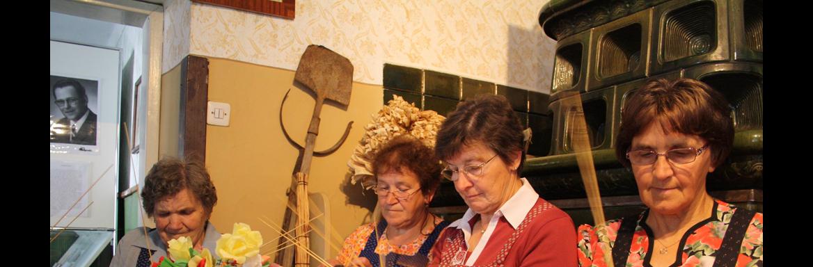 Foto: Tjaša Zidarič, 2014. 