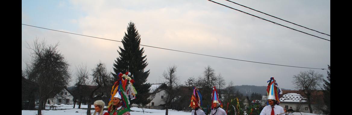Foto: Tjaša Zidarič, 2015. 