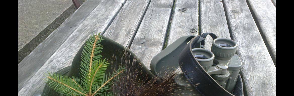 Foto: Dolores Čarga, 2013. 