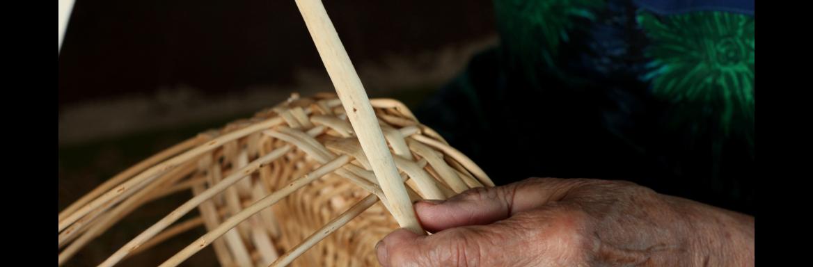 Foto: M. Povše, 2014 