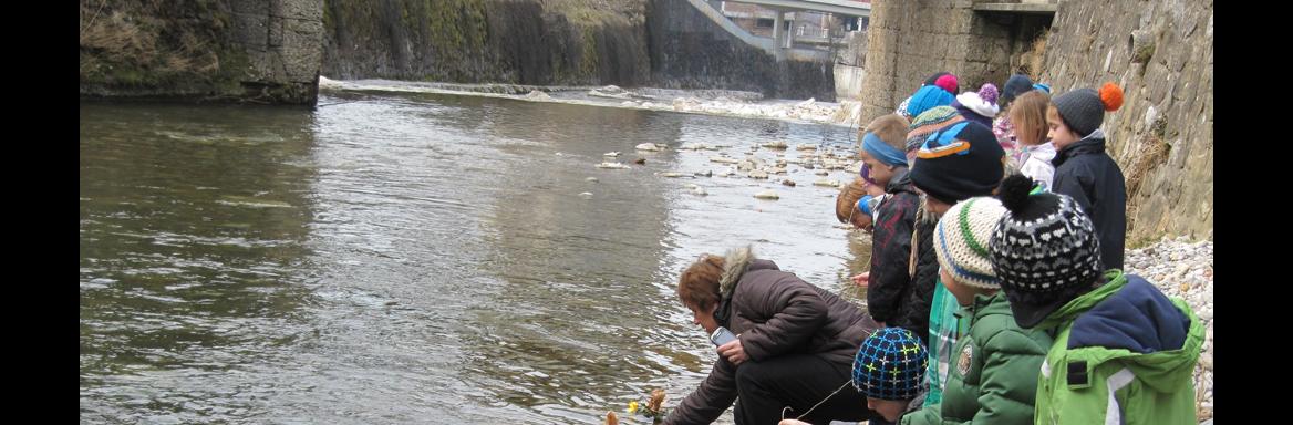 Spuščanje gregorčkov. Foto: Bojan Knific, 2015.  