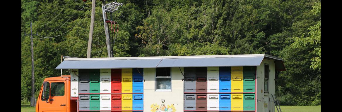 Foto: M. Špiček, 2017