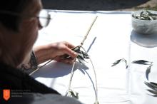 Vilma Lovrenčič pri izdelovanju oljčnih palm. Foto: A. Jerin, 2021