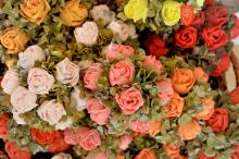 Foto: Anja Jerin, 2014. 