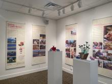 Utrinek z razstave. Foto: G. Nosan (Slovenski muzej in arhivi), 2024