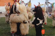 Društvo koranti Destrnik. Foto: Miro Kokol, 2014. 