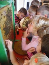 Zavod Čebela organizira izobraževanja za najmlajše. Foto: A. Stankovič, 2018