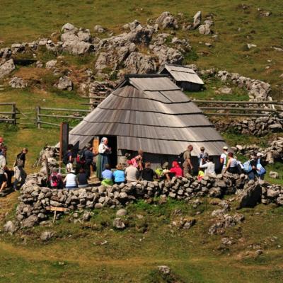 Foto: Anja Jerin, 2013