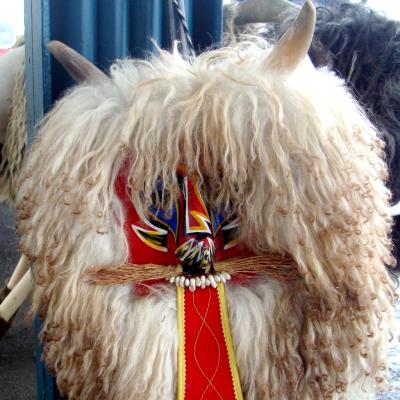 Foto: Nena Židov, 2015. 