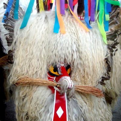 Foto: Nena Židov, 2015. 